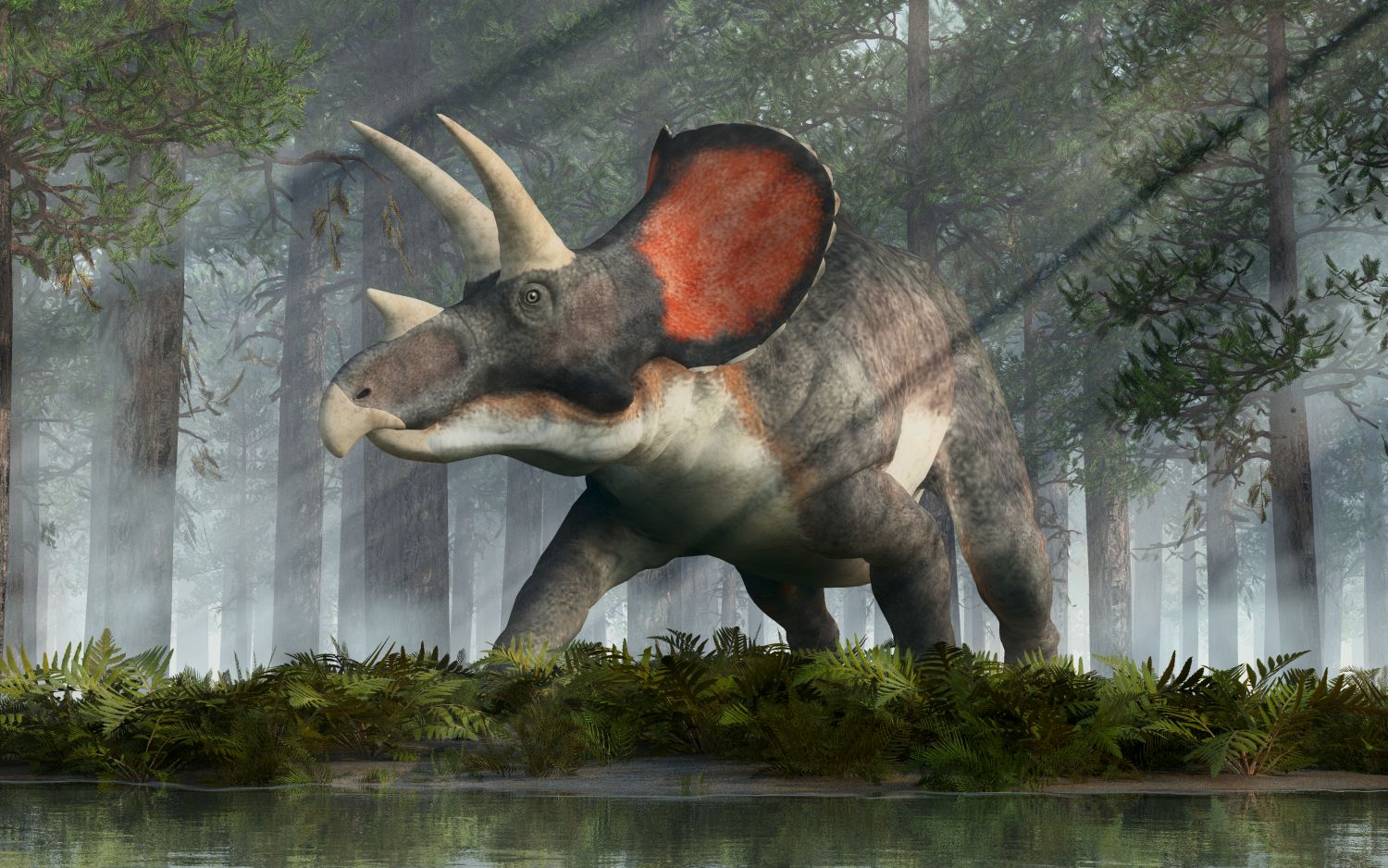 triceratops